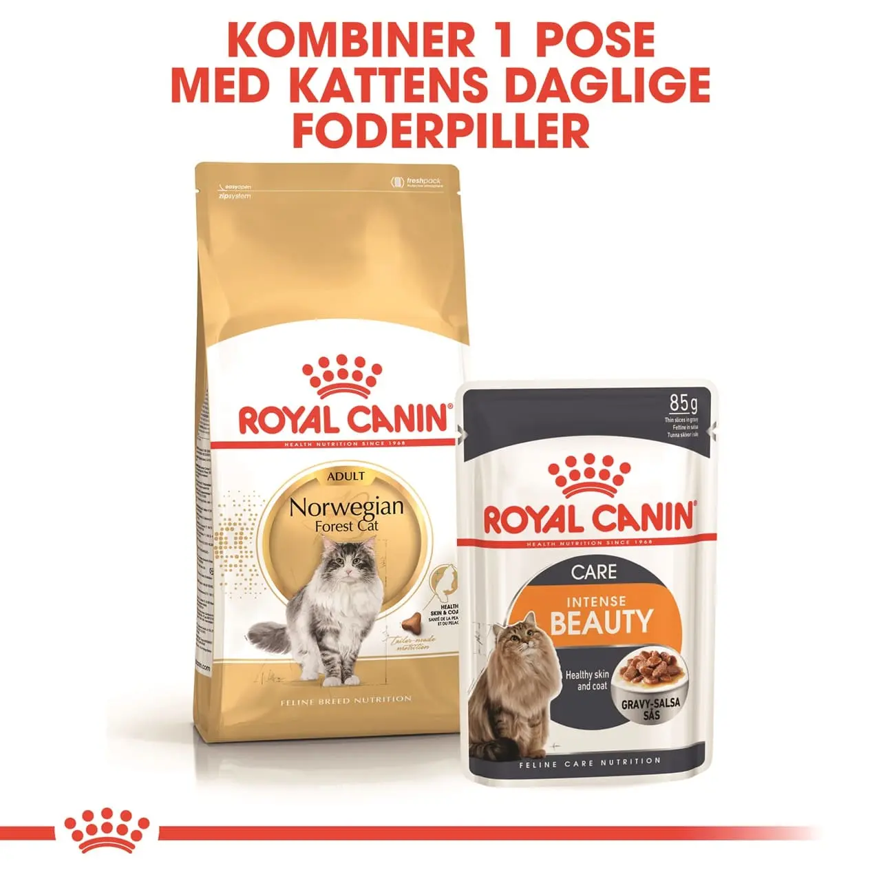 Royal Canin Norsk Skovkat 10 kg (Norwegian Forest Cat)